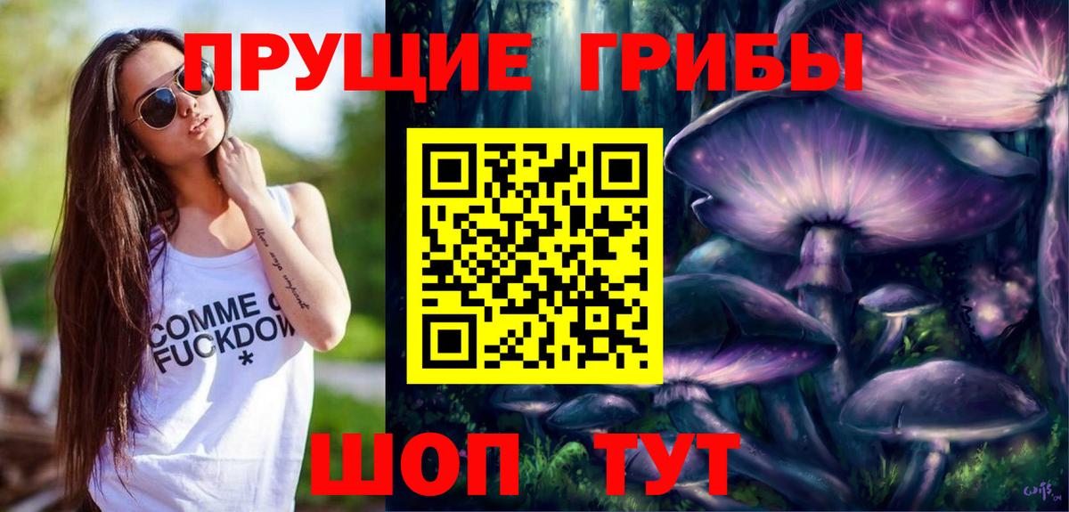 Галлюциногенные грибы Magic Shrooms  Псилоцибиновые грибы GOLDEN TEACHER  Котлас  купить   Вход с VPN 