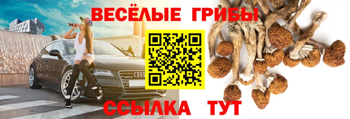 Псилоцибиновые грибы GOLDEN TEACHER Котлас
